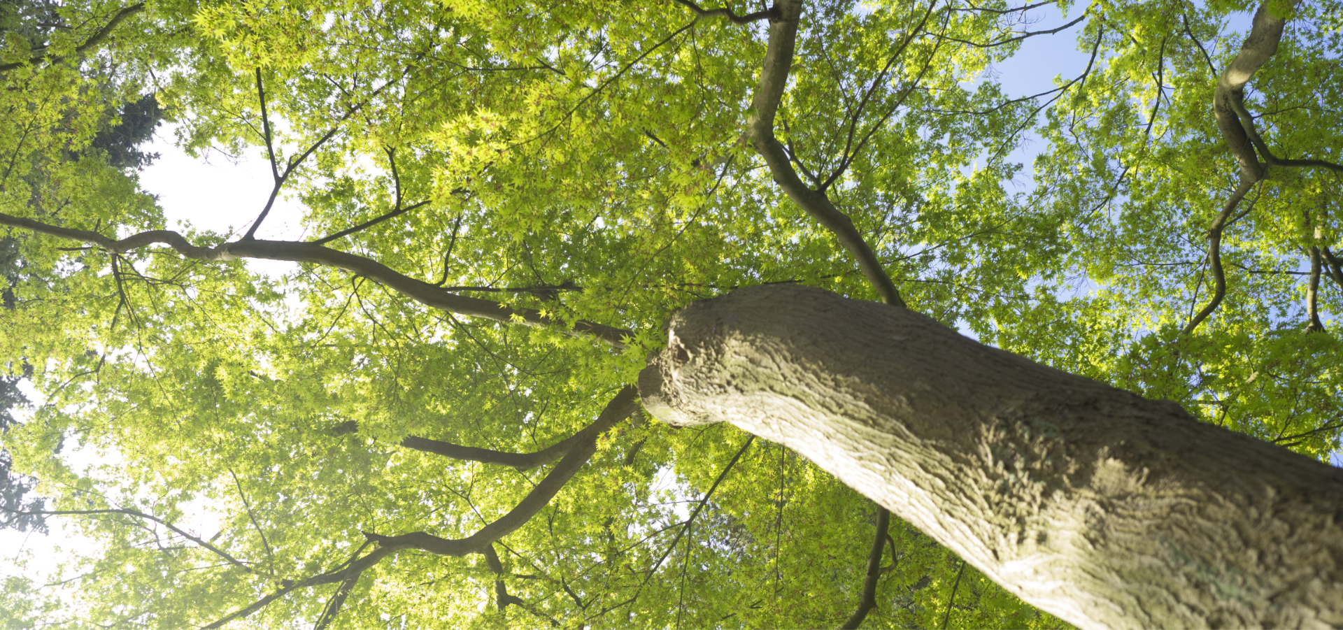 natur